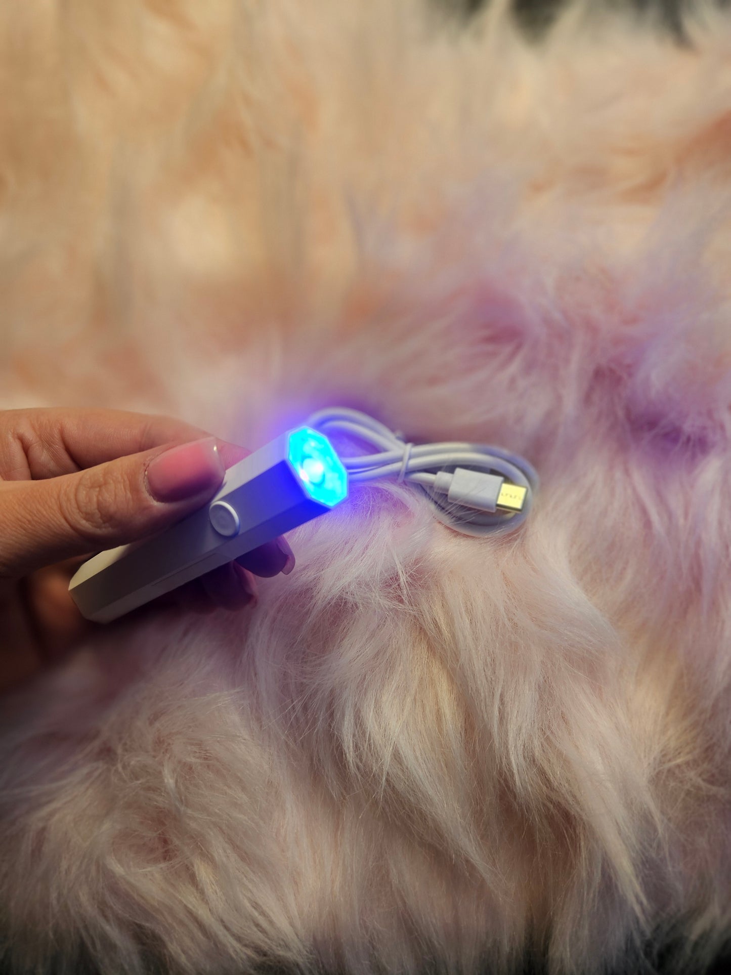 Rechargeable Handheld UV Light